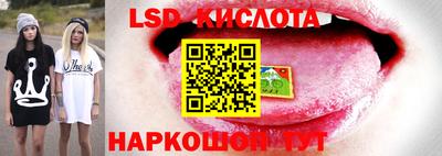 спайс Жуковский