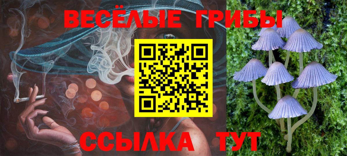 купить наркотики сайты  Галлюциногенные грибы GOLDEN TEACHER  Вход с VPN  Знаменск  Псилоцибиновые грибы ЛСД 