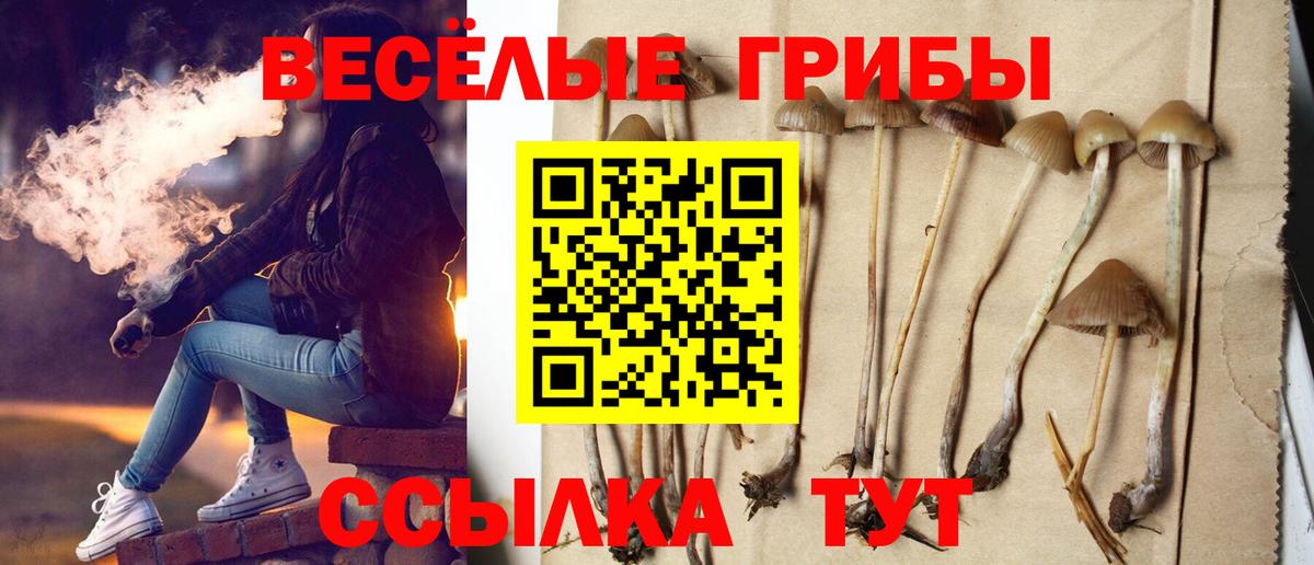 Псилоцибиновые грибы GOLDEN TEACHER Знаменск